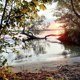 Ferienhaus Flessenow am Schweriner See，位于Flessenow的酒店