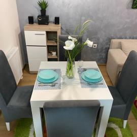 Apartman Popović，位于鲁马的酒店