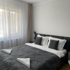 Studio Tineretului，位于札勒乌的酒店