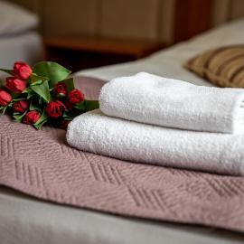 Hotel pod Wierzba，位于西维德尼察的酒店