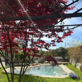 DOMUS PARVA - Villa con bio-piscina, spa privata e appartamenti panoramici，位于巴科利的酒店