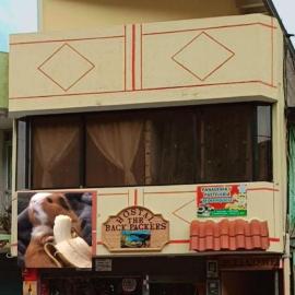 Hostal the backpackers，位于Chugchilán的酒店