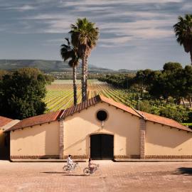 Sella&Mosca Casa Villamarina，位于阿尔盖罗的酒店