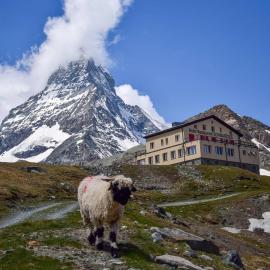 Hotel Schwarzsee,位于采尔马特的酒店