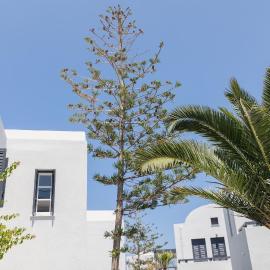 Scorpios Beach Santorini，位于莫诺利索斯的酒店