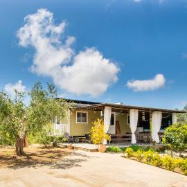 Hakuna Matata Holidays Agalia with airco & pool in Greek Olive Grove，位于迈索尼的酒店