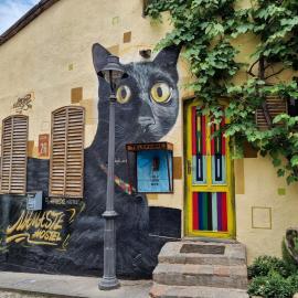 Namaste Hostel，位于第比利斯的酒店