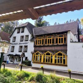 Waldhotel Pfarrmühle，位于艾森贝格的酒店