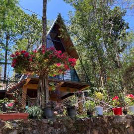 Wild root stay- Orchid Chalet，位于维特利的酒店