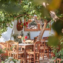Lemon Tree Apartments Samos，位于Votsalákia的酒店