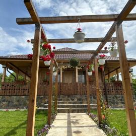 Casa Eden Fit，位于Făget的酒店