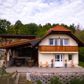 Vineyard cottage Na hribu，位于Dvor的酒店
