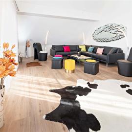 Exklusive 5,5 Zimmer Wohnung für Familien und Business，位于埃申茨的酒店