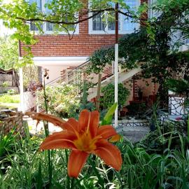 Guest house and Cuisine by Meri Poppins，位于Dedoplis Tskaro的酒店