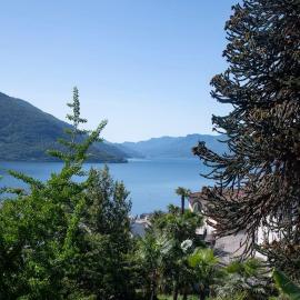 Lake Blues，位于布里萨戈的酒店