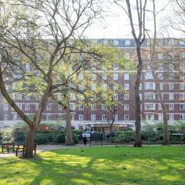 Tavistock Hotel，位于伦敦的酒店