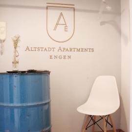 Felsen Apartment Loft，位于恩根的酒店