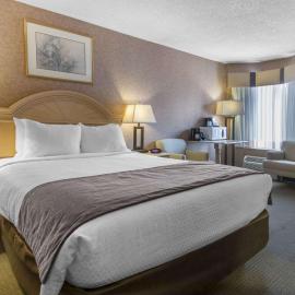 Flamingo Hotel，位于梅迪辛哈特的酒店