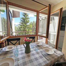 Apartamentos Confort Formigal 3000，位于福米加尔的酒店