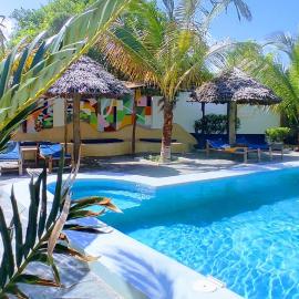 Kameleon Blue Arts Lodge，位于基济姆卡济的酒店