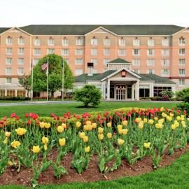 Hilton Garden Inn Albany Airport
