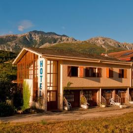 Hotel Torrecerredo,位于阿里纳斯·德·卡伯瑞勒斯的酒店