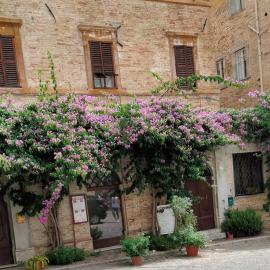ATTICO SULLA BOUGANVILLE (Albergo diffuso)，位于科里纳尔多的酒店