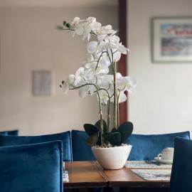 Hotel le Pasteur，位于鲁瓦扬的酒店