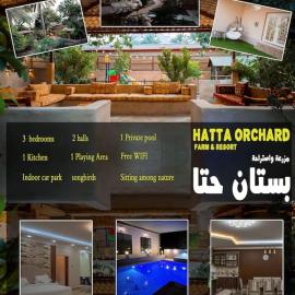 Hatta Orchard