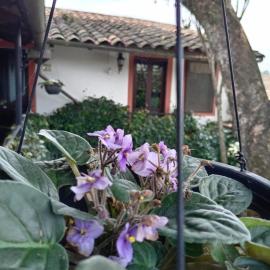 Hotel Boutique Casabella，位于科阿特佩克的酒店