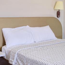 Gess Hotel，位于帕拉马里博的酒店