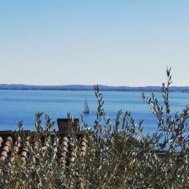 Relax al Porto - 180 degrees of exciting Garda lake views，位于莫尼加的酒店
