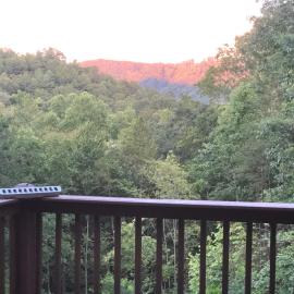 Love Nest in Blue Ridge，位于蓝岭的酒店