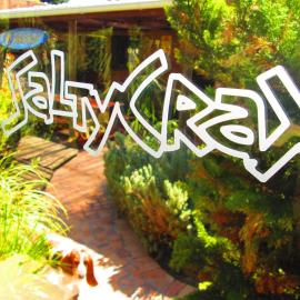 Saltycrax Backpackers and Surf Hostel，位于布鲁堡史特兰的酒店