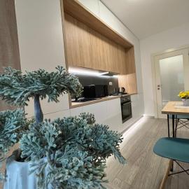 Perfect Host Palas Studio Central，位于雅西的酒店