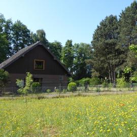 Ferienhaus an der Borner Mühle，位于布吕根的酒店