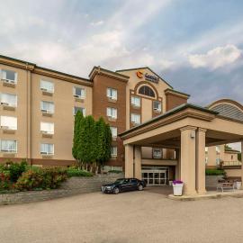 Comfort Inn & Suites，位于萨蒙阿姆的酒店