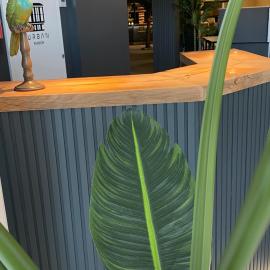 URBAN Pensión，位于梅利德的酒店