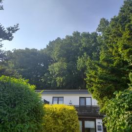 Apartment am Waldrand Nichtraucher gemütlich und ruhig，位于伊策霍的酒店