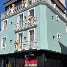 Hotel Muchacho，位于马塞杜-迪卡瓦莱鲁什的酒店