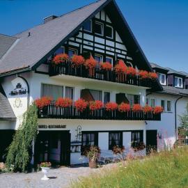 Heidehotel Hildfeld，位于温特贝格的酒店