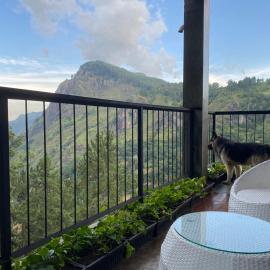 Star Gaze Lodge，位于埃拉的酒店