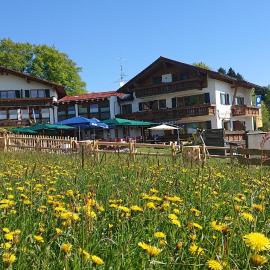Landhotel Alphorn，位于奥夫特尔施旺的酒店