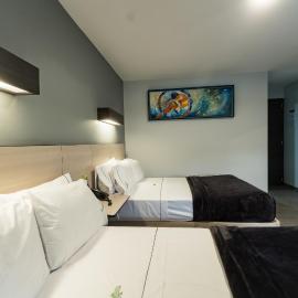 HOTEL LEMON GREEN -Zona Expo Frente al Centro de Convenciones，位于瓜达拉哈拉的酒店