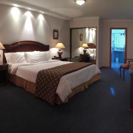 Crystal Palace Hotel，位于蒙得维的亚的酒店