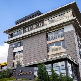 Hilly Hotel，位于埃迪尔内的酒店