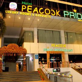 Hotel Peacock Pride，位于Karīmnagar的酒店