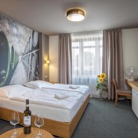 Hotel Lidový dům，位于布泽涅茨的酒店