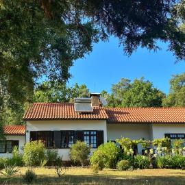 Quinta Do Pereiro，位于塔布阿的酒店