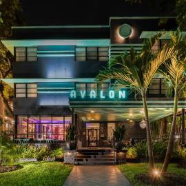 Avalon Hotel Downtown St. Petersburg，位于圣彼得堡的酒店